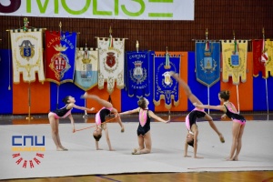 AVT_0259.jpg